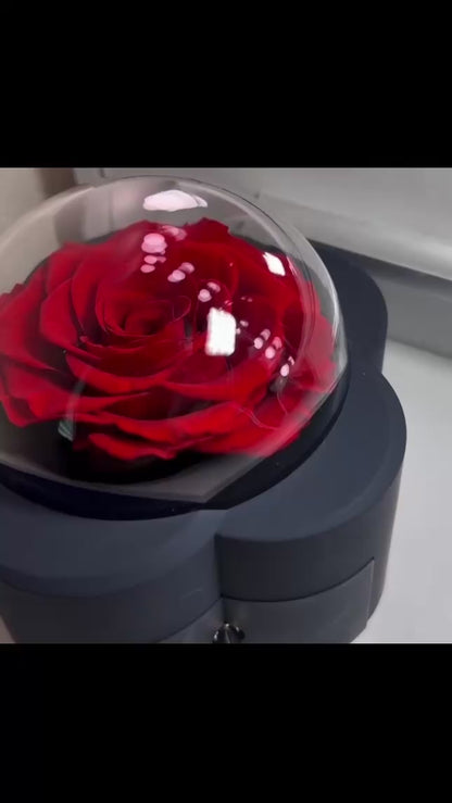 Eterna Rose Gift Box